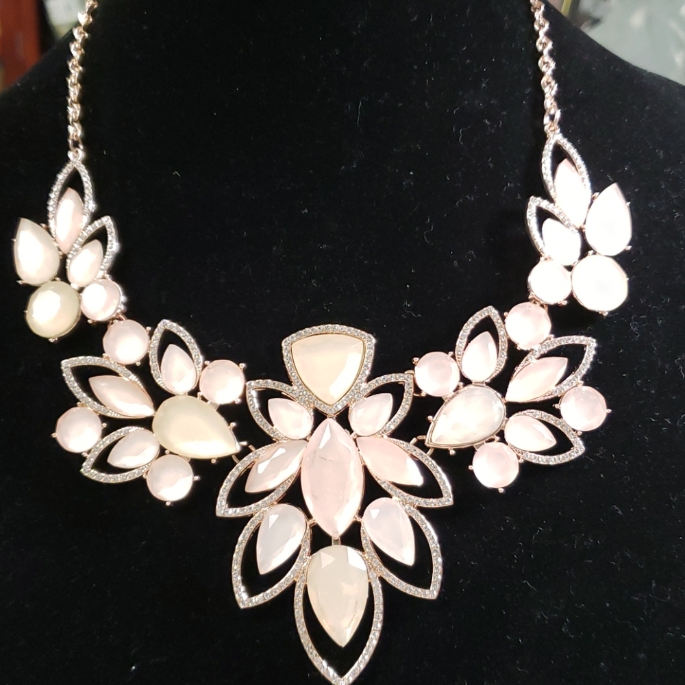 NWT Beautiful statement necklace